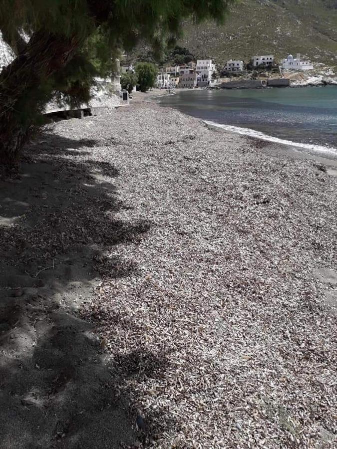 Kalymnos Beach House Panormos  ภายนอก รูปภาพ